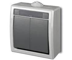 Jungiklis ELEKTRO-PLAST AQUANT, 2 klav., IP55