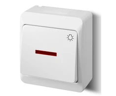 Elektro Plast Nasielsk ŁĄCZ.ŚWIATŁO PODŚ.N/T IP44 Baltas H