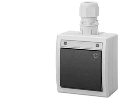 Elektro Plast Nasielsk JUNGTIES ŠVIETIMAS N/T IP65 AQUAN Pilkas