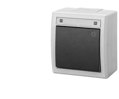Elektro Plast Nasielsk JUNGTIES ŠVIETIMAS N/T IP55 AQUAN Pilkas