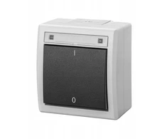 Elektro Plast Nasielsk 5003-10 AQUANT 2K paviršinio montavimo jungiklis, 2 polių, IP55, pilkas 5003-10