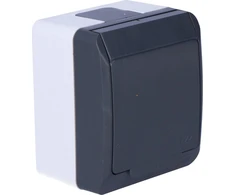 Elektro Plast Nasielsk GN.2P+Z N/T IP44 ANTRACYT HERMES