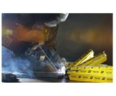 Esab ELEKTRODAS ESAB OK 92.58 D2.5 5 VNT