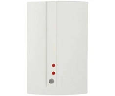 ELMES ELEKTRONIK Odbiornik dwukanałowy Elmes (DWB100HR-HET)