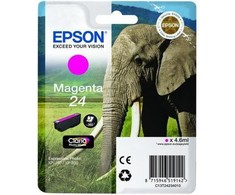 Rašalas Epson 24 Claria Foto C13T24234010