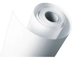 Epson Single, Matowy 120g/m2 610mm x 40m (C13S041853)
