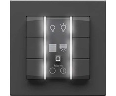 eQ-3 Homematic IP Sieninis mygtukas – 6 kartų 230 V antracito