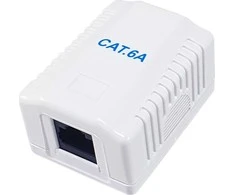 Equip Įranga 235215 Cat6a tinklo jungiamoji dėžutė, balta