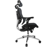 Equip Ergonomiška biuro kėdė su galvūgaliu ir porankiais bl-sw lite mažmeninė prekyba