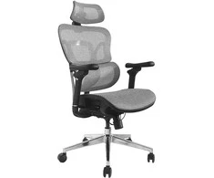 Equip Ergonomiška biuro kėdė su galvūgaliu ir porankiais, gr lite, mažmeninė prekyba
