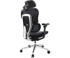 Equip Ergonomiška biuro kėdė su galvūgaliu ir porankiais bl-sw lite mažmeninė prekyba