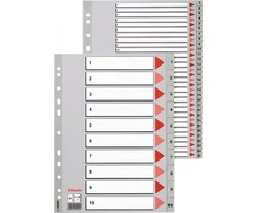 Skiriamieji lapai ESSELTE, 1-10, A4, PP