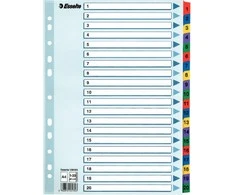 Kartoniniai spalvoti skiriamieji lapai ESSELTE, 1-20, A4