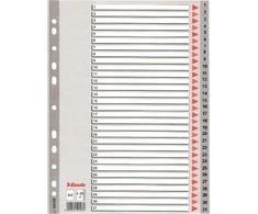 Skiriamieji lapai ESSELTE, 1-31, A4, PP