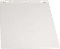 Esselte E:Flipchart Pad 55x71cm Eco* 50 lapų (96550)