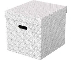 Leitz Esselte PUDŁO/PUDEŁKO OZDOBNE TEKTURA Z RECYKLINGU ESSELTE 320x315x365 balta 3 vnt..