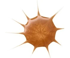 „Essence Cosmetics“ „Drop Of Sunshine Bronceador Fluid“ bronzantai, 25 ml