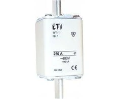 Eti-Polam NH gF AC 500V WT-1 / gF 100A (004139117)