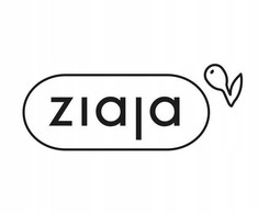 Ziaja Eveline Cosmetics Eveline PIANKA DO MYCIA TWARZY WITAMINA C.B3 NIACYNAMID 150ML