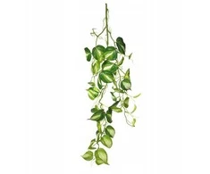Exo Terra Terariumo dekoracija, kabantis augalas, vidutinio dydžio, 23 * 15 * 94 cm