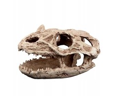 Exo Terra Terariumo dekoracija, ropliozauro kaukolė, 19 cm