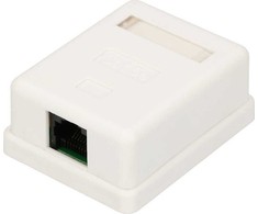 Extralink | Lizdas natynkowe | 1x RJ45 KAT5E UTP