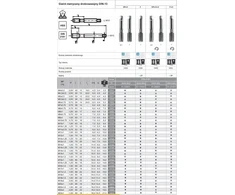 Fanar SIŪLAS M10x1,25 NGMM/2 DIN-2181/2 (6H) LH HSS