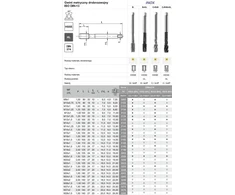 Fanar SIŪLAS M12x1,5 DIN-374B (6H) HSSE INOX
