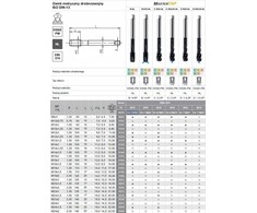 Fanar TAP M10x1 DIN-374B (6H) HSSE-PM HL MASTERTAP