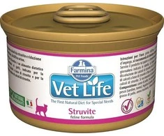 Drėgnas Kačių Maistas - Farmina Struvite 85g