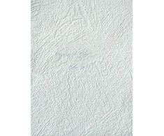 Gracia Federal PAINTABLE WALLPAPER 2522-01 B98
