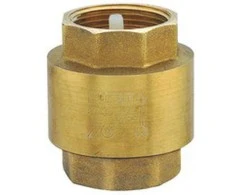 Ferro 1 ”atbulinis vožtuvas ZZ3