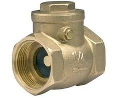 Ferro atbulinis vožtuvas PN16 6/4 "(ZZK5)
