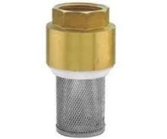 Ferro Atbulinis vožtuvas su įsiurbimo filtru ir plastikiniu uždarymo elementu 6/4" K24