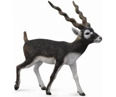 Collecta Figūrėlė - Elniaožė gazelė