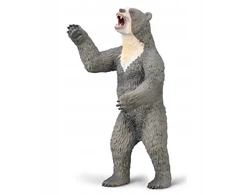 Figūrėlė Collecta COLLECTA ARCTODUS