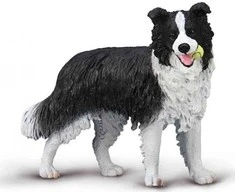 Collecta Figūrėlė - Borderkolis