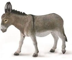 Collecta Surinkti Surinkti BARNAS (BARNAS)