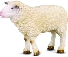 Collecta Figūrėlė Avis (M)