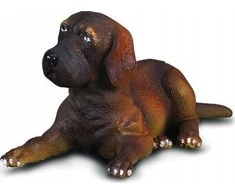 Collecta RUMUNIJA