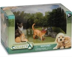 Collecta Dante Collecta 4 PAKUOTĖS KODŲ RINKIMAS