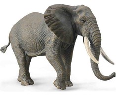 Collecta Figūrėlė Afrikinis dramblys (XL)