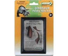Collecta FLAKONO RUOŠIMAS TALPYKLĖJE