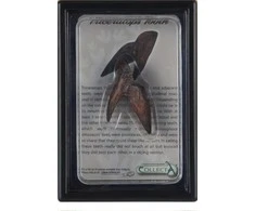 Collecta TRICERATOPS PAKUOTĖS KOLEKTAS