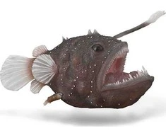Collecta Figūrėlė - Velniažuvė