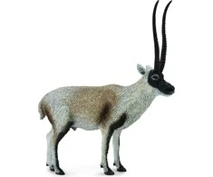 Collecta Figūrėlė - Tibetinė antilopė