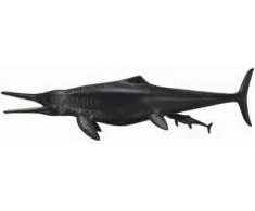 Collecta Figūrėlė Temnodontosaurus dinozauras (XL)
