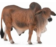 Collecta Figūrėlė - Brahmanas