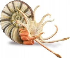 Collecta Figūrėlė - Pleuroceras