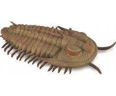 Collecta RANDLICIA REX TRILOBIT - CollectA - 88906 - L